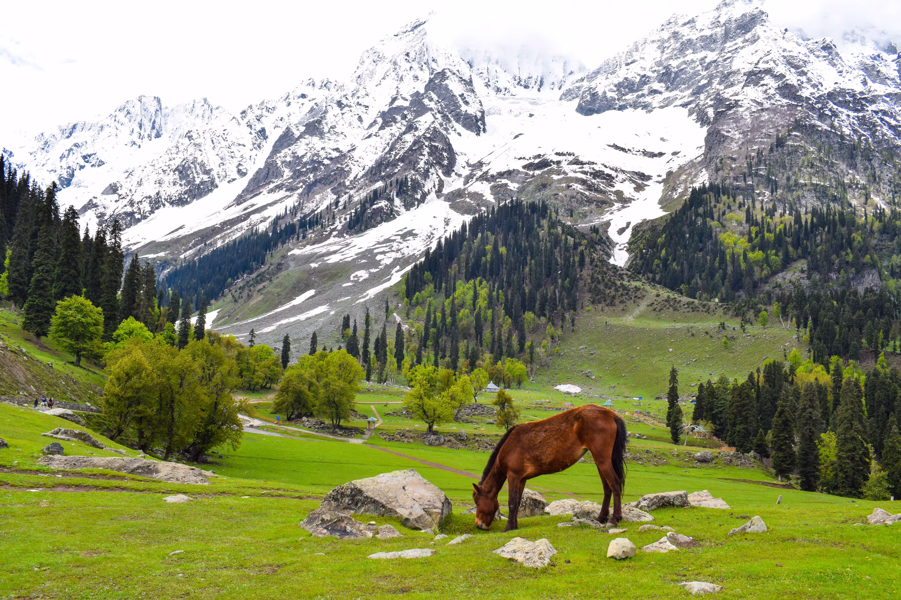 Scenic Destination 4